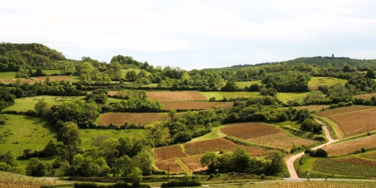 Landschap