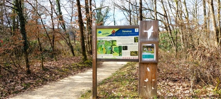 Marais des Tilles Massily