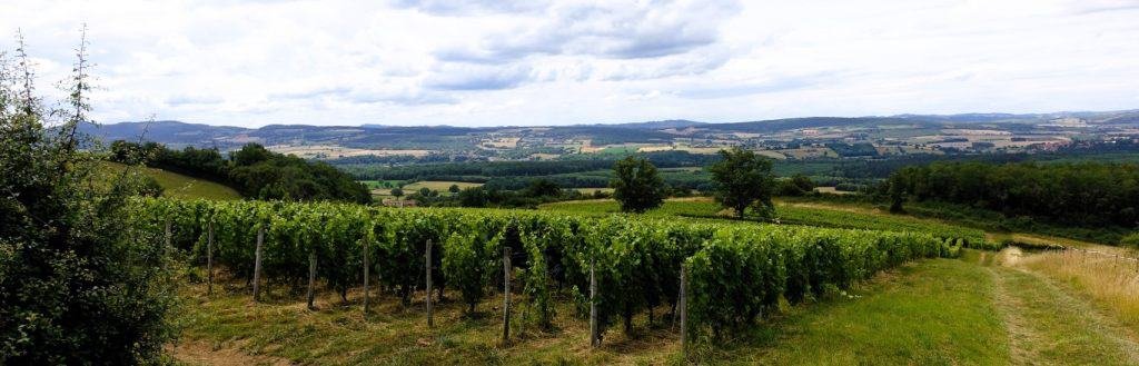 Route des Vins Macônnais