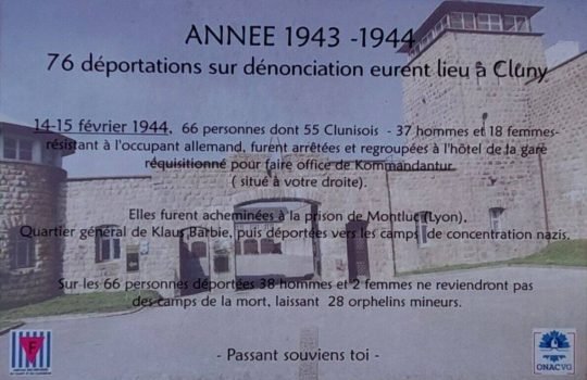 20230824_115703 (Medium)